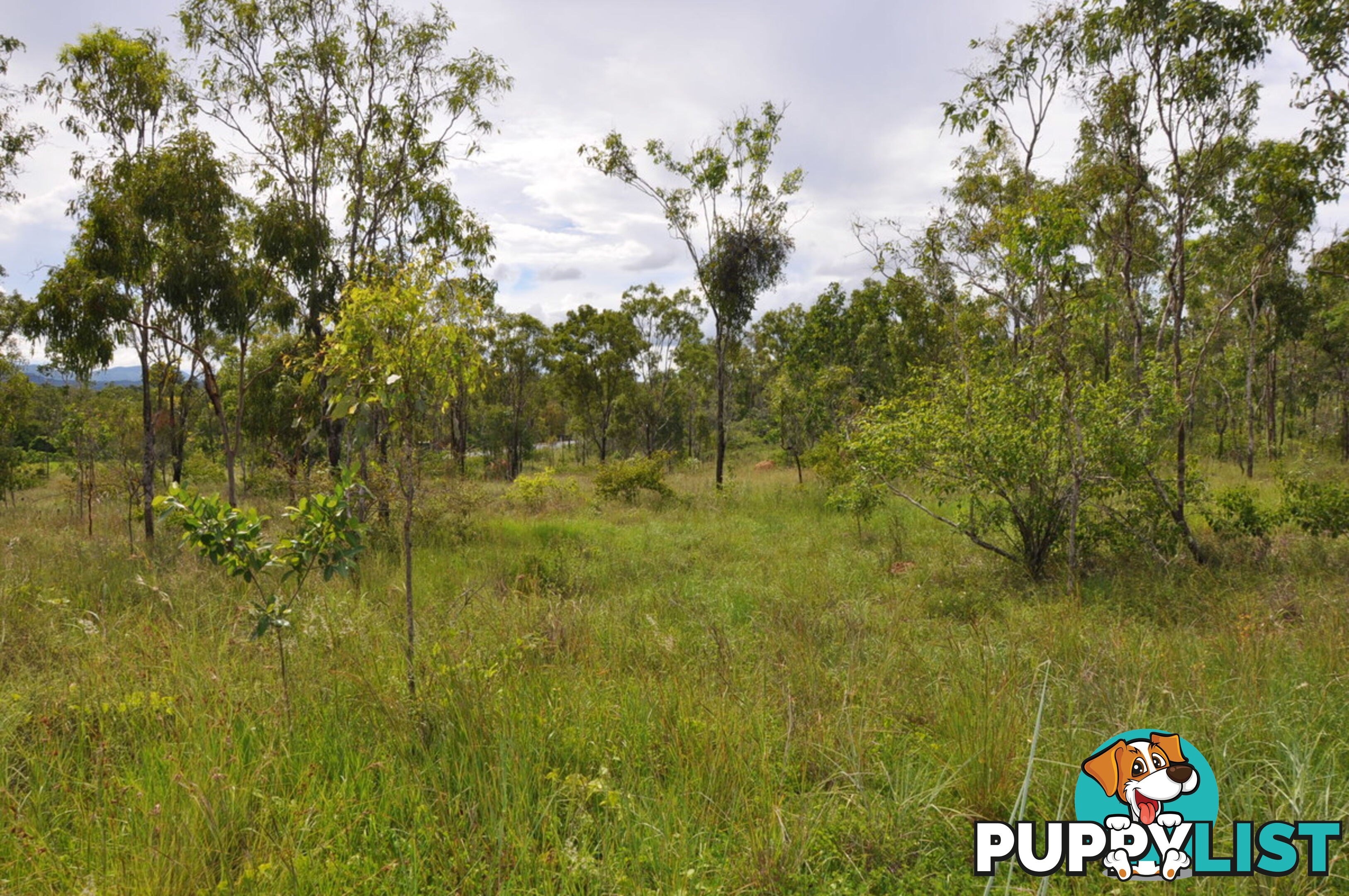 558 Bilwon Road Biboohra QLD 4880