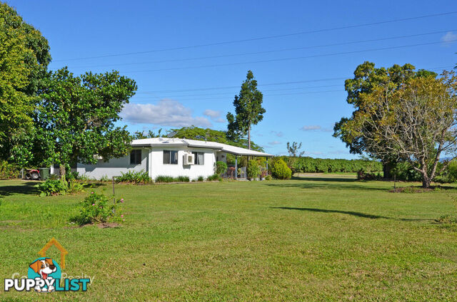 3 Malone Road Mareeba QLD 4880