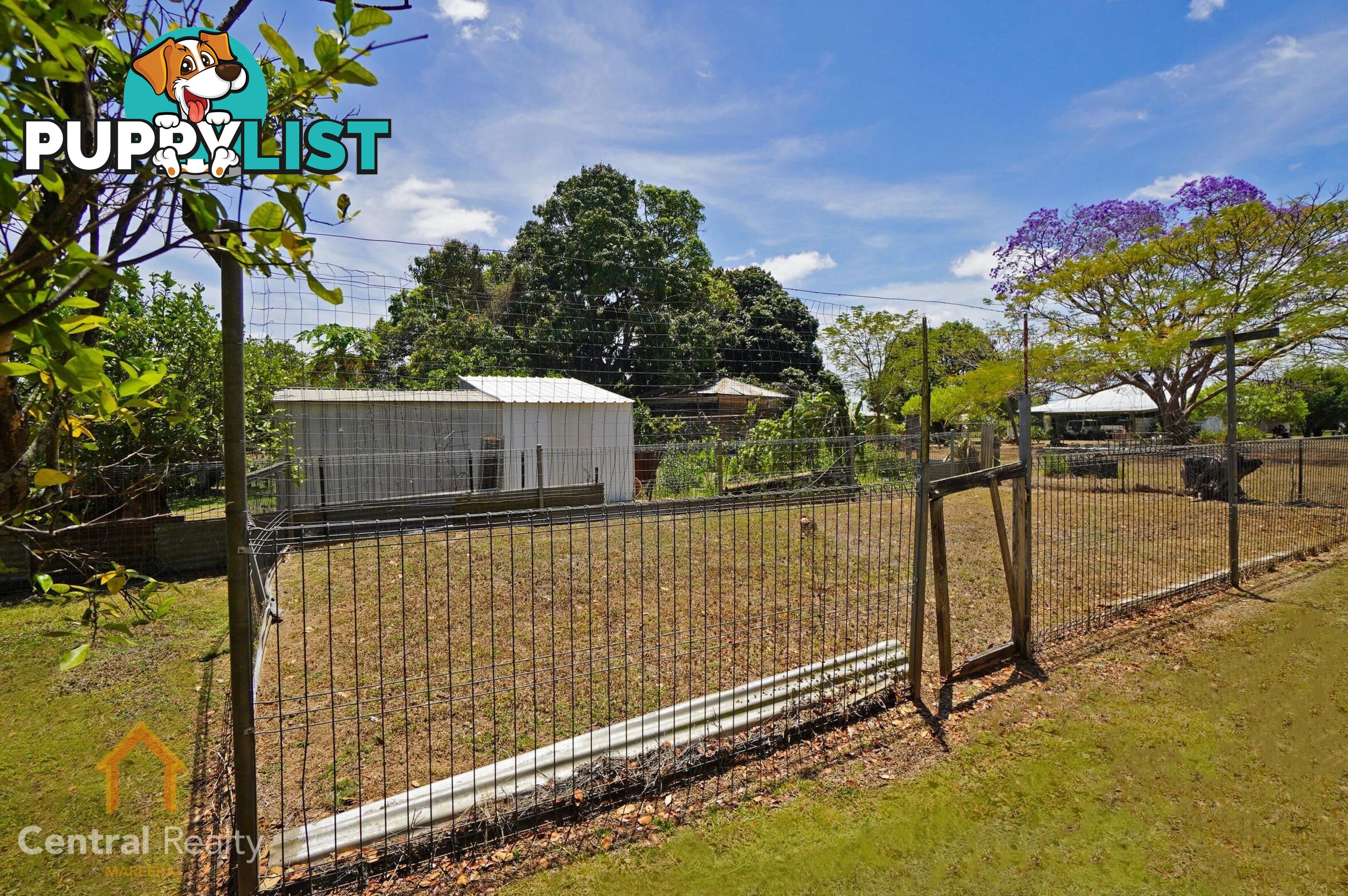 217 Walsh Street Mareeba QLD 4880