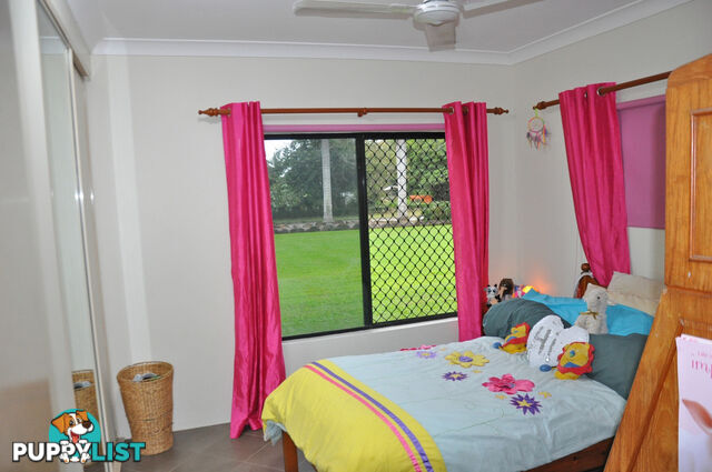 6 Debel Close Mareeba QLD 4880