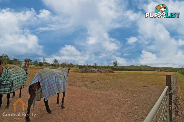 209 Malone Road Mareeba QLD 4880