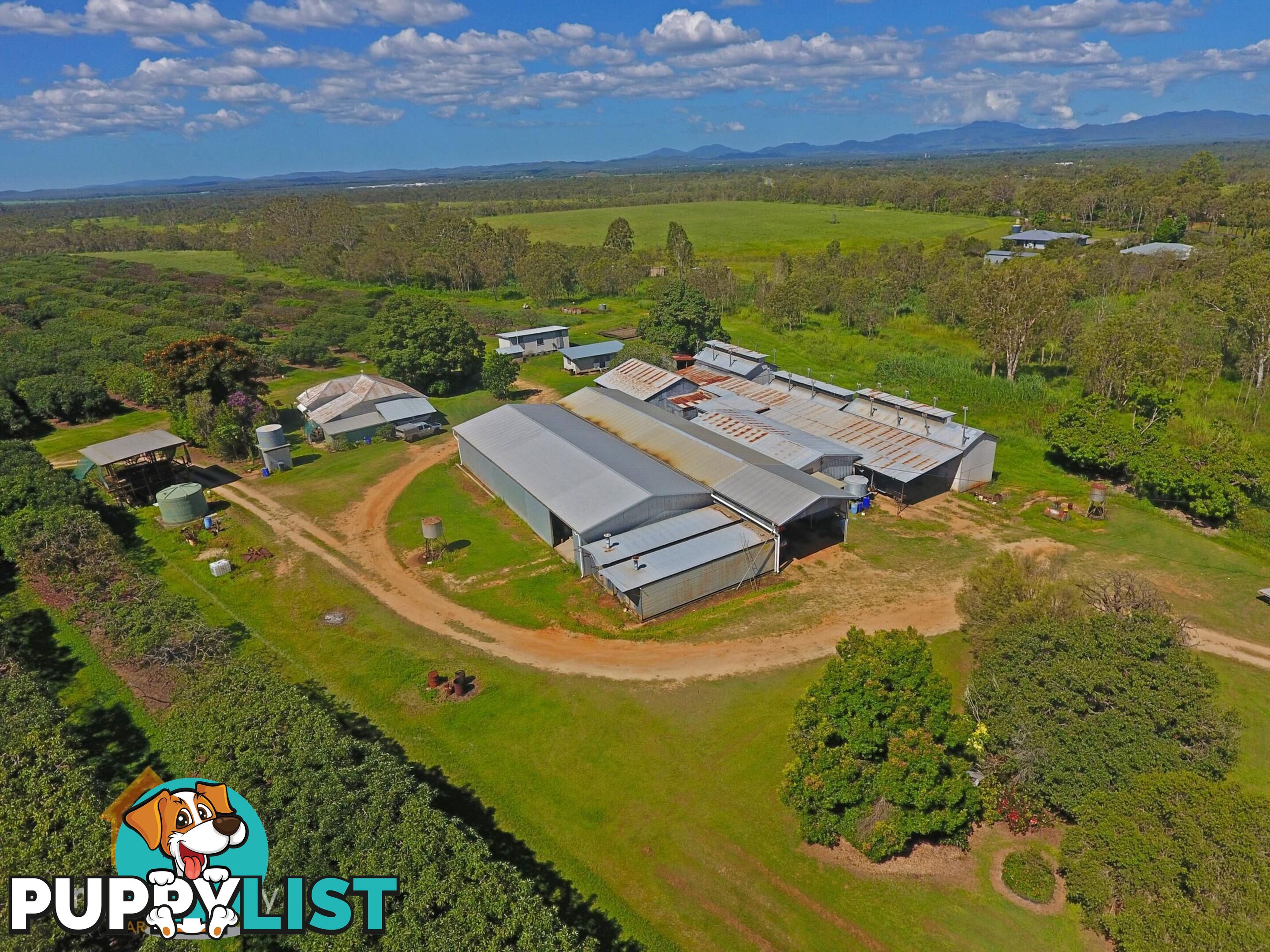 44 Carman Road Mareeba QLD 4880