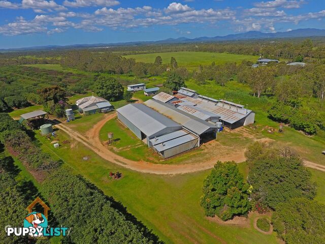 44 Carman Road Mareeba QLD 4880