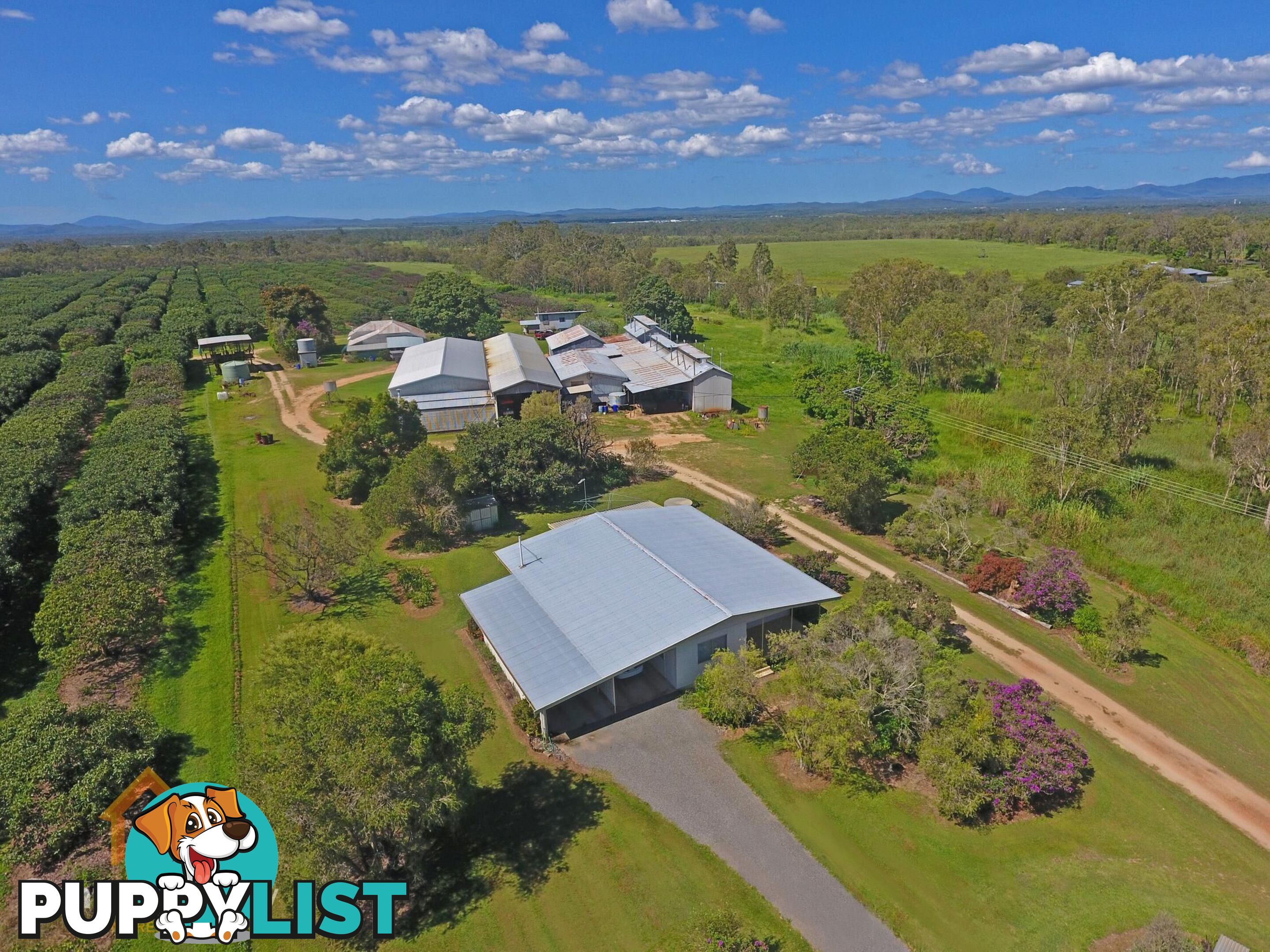 44 Carman Road Mareeba QLD 4880