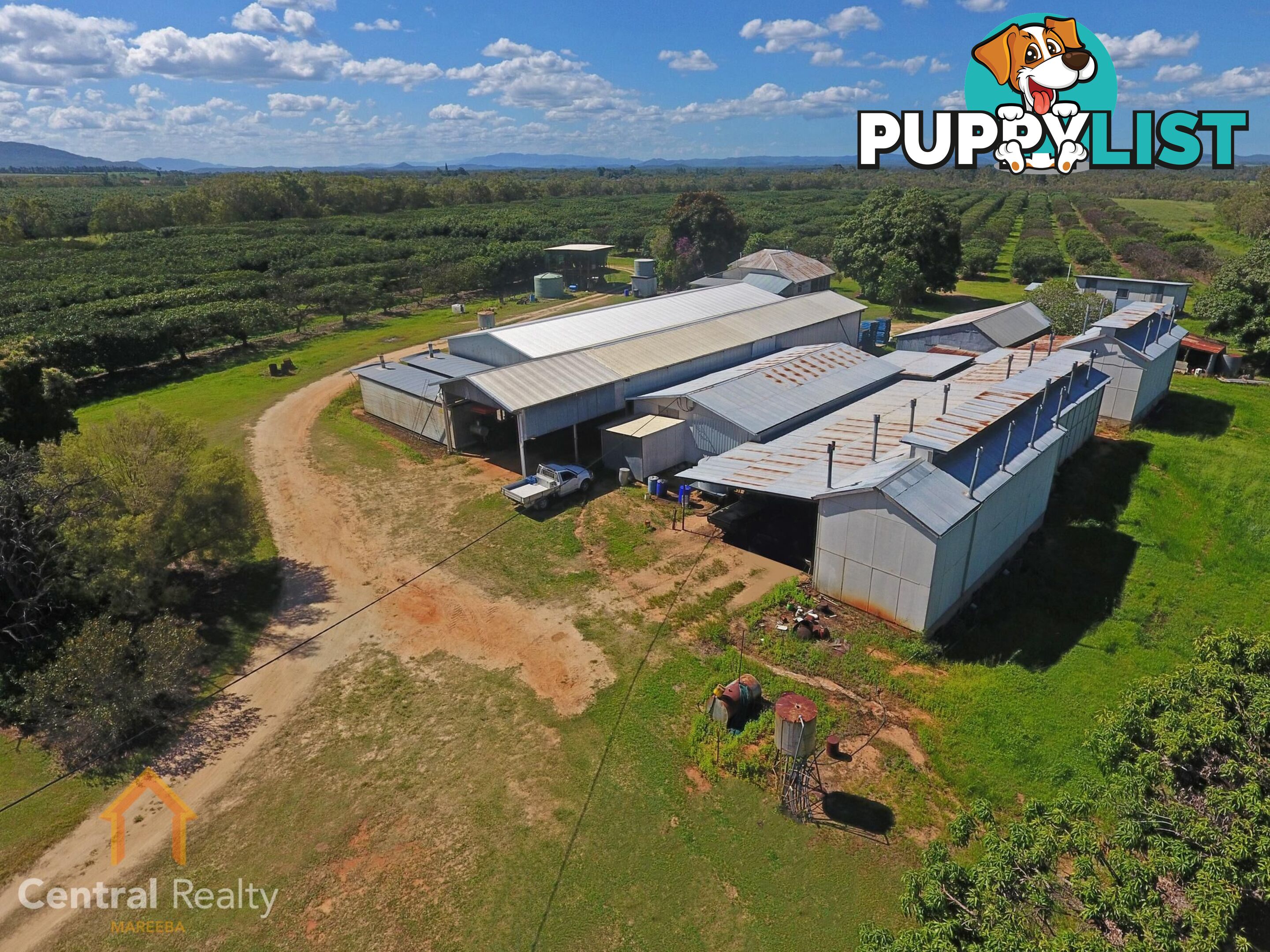44 Carman Road Mareeba QLD 4880