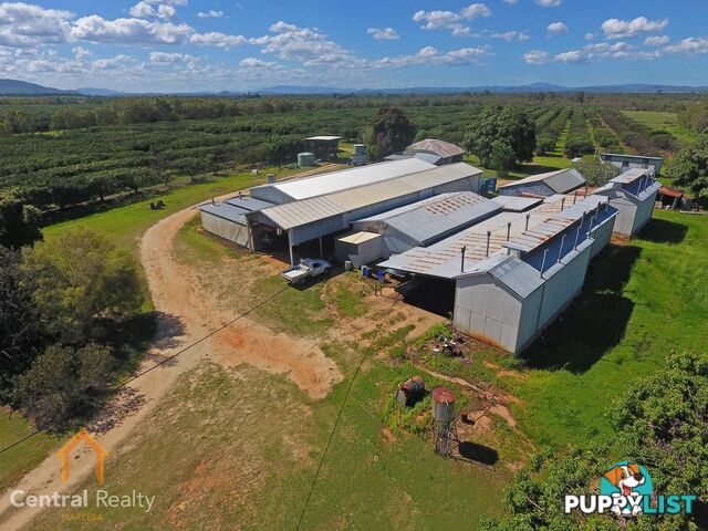 44 Carman Road Mareeba QLD 4880