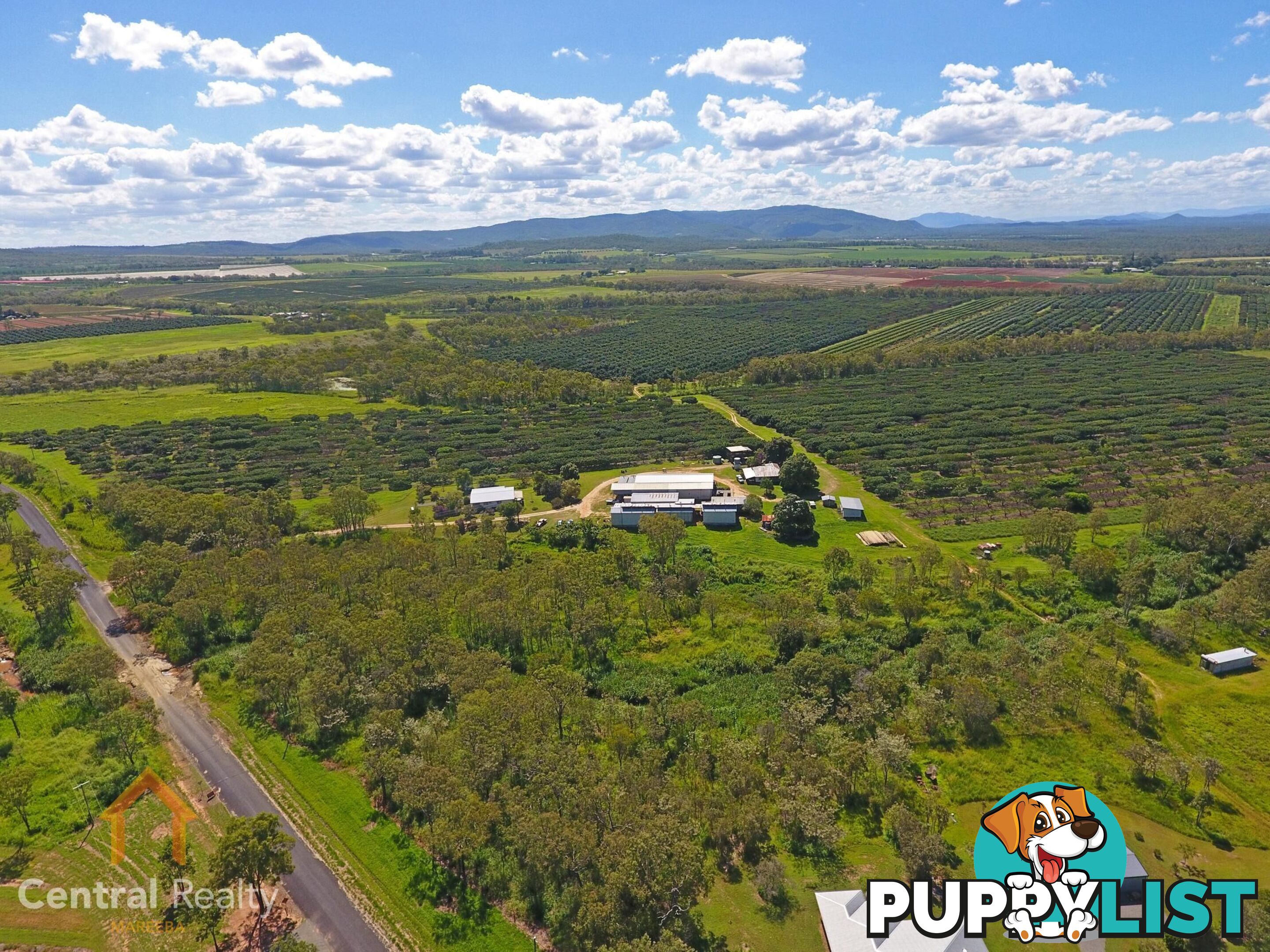 44 Carman Road Mareeba QLD 4880