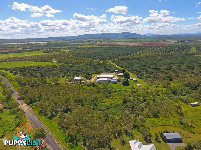 44 Carman Road Mareeba QLD 4880