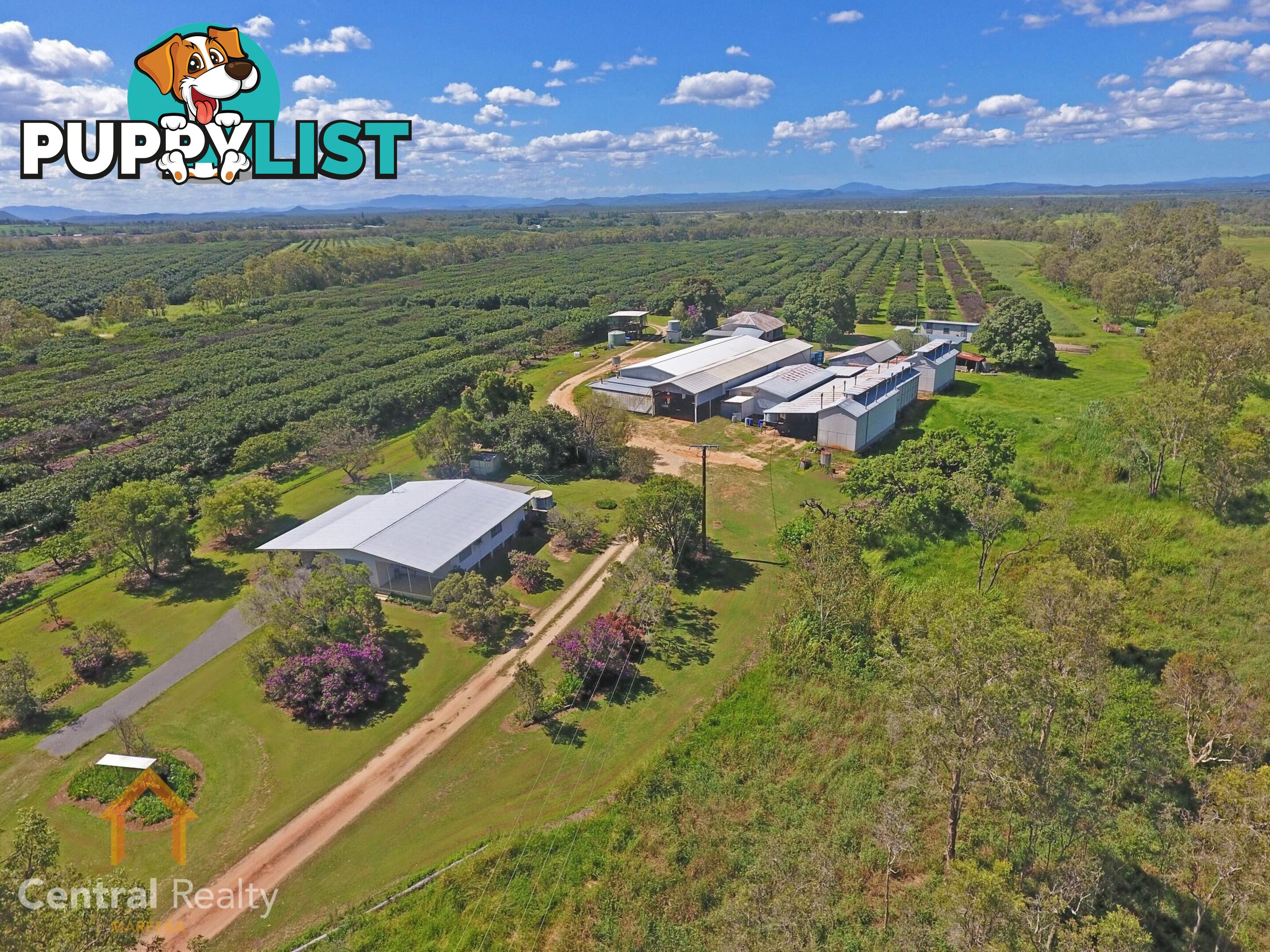 44 Carman Road Mareeba QLD 4880