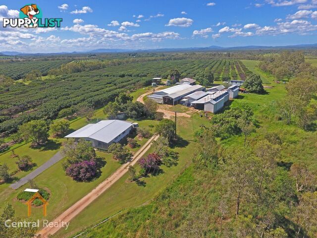 44 Carman Road Mareeba QLD 4880