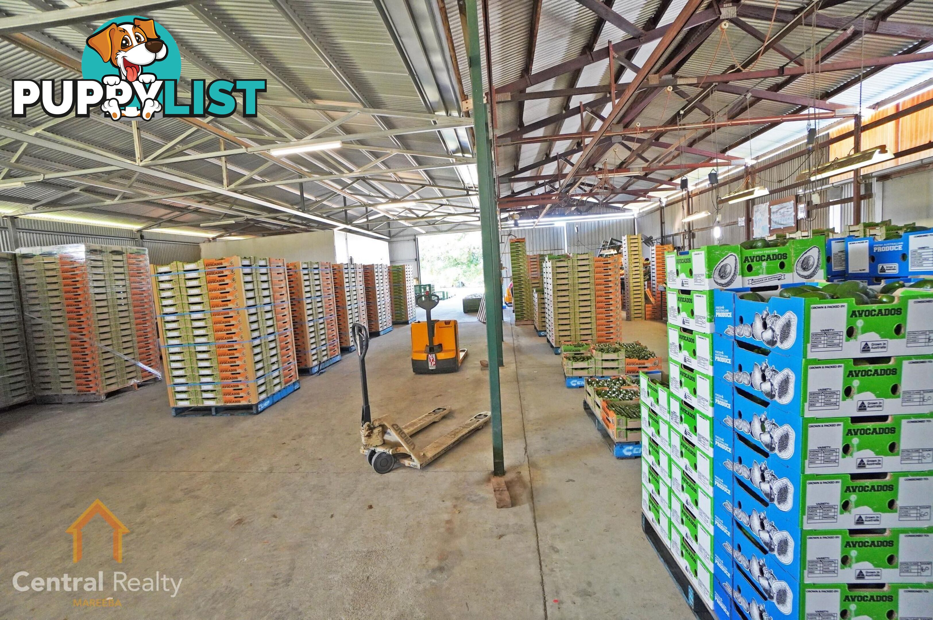 44 Carman Road Mareeba QLD 4880