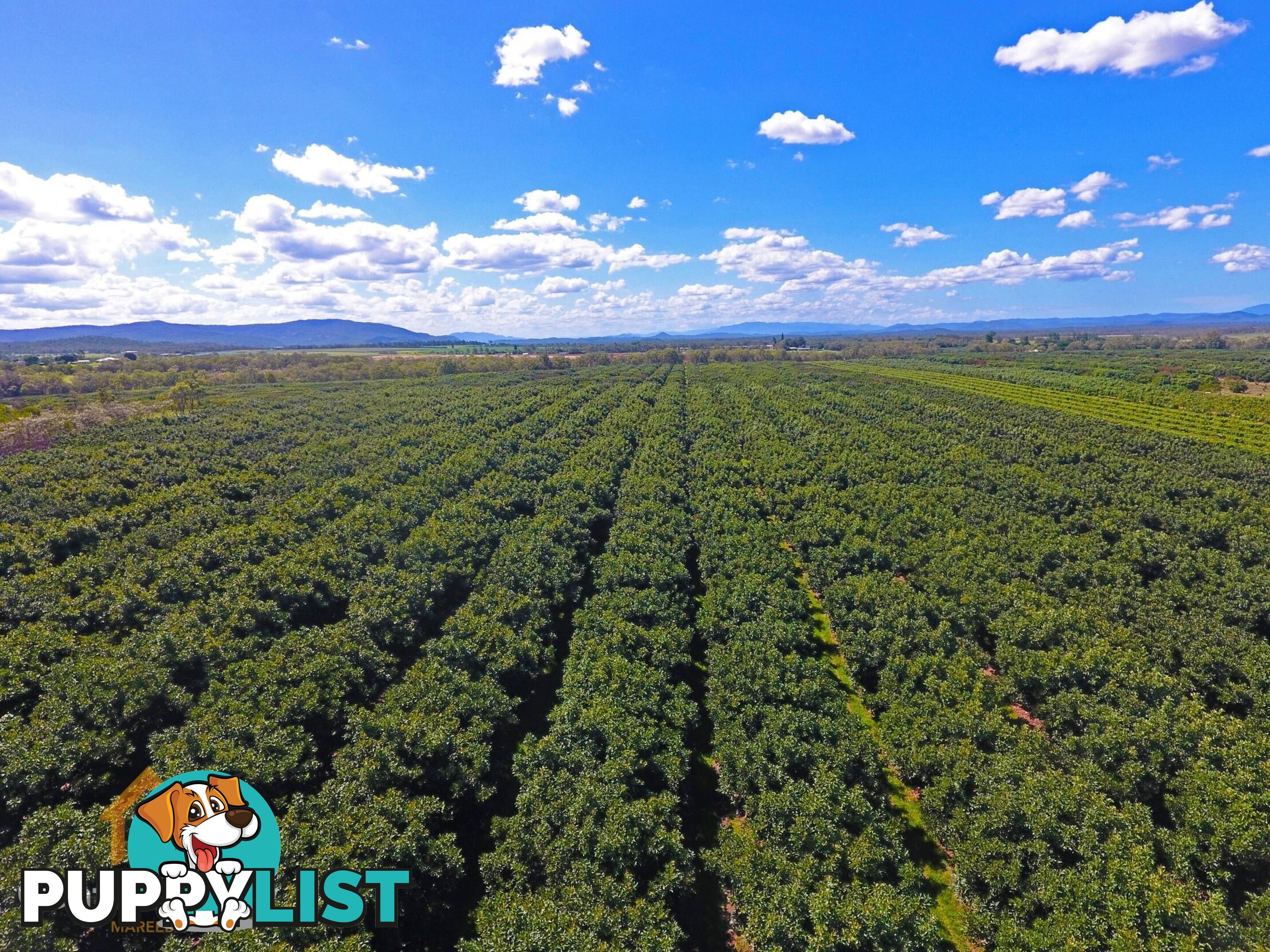 44 Carman Road Mareeba QLD 4880
