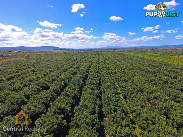 44 Carman Road Mareeba QLD 4880