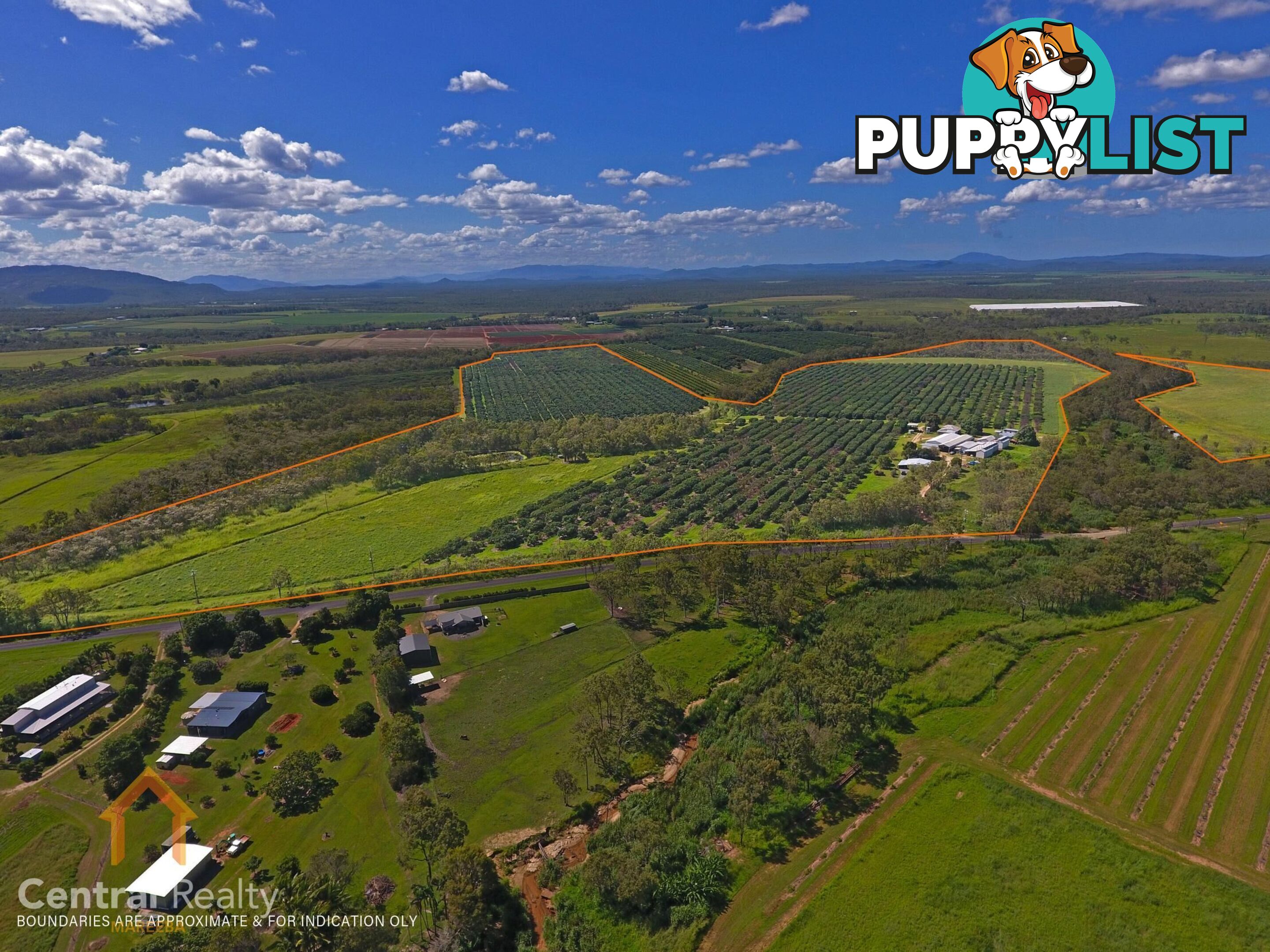 44 Carman Road Mareeba QLD 4880