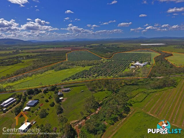 44 Carman Road Mareeba QLD 4880