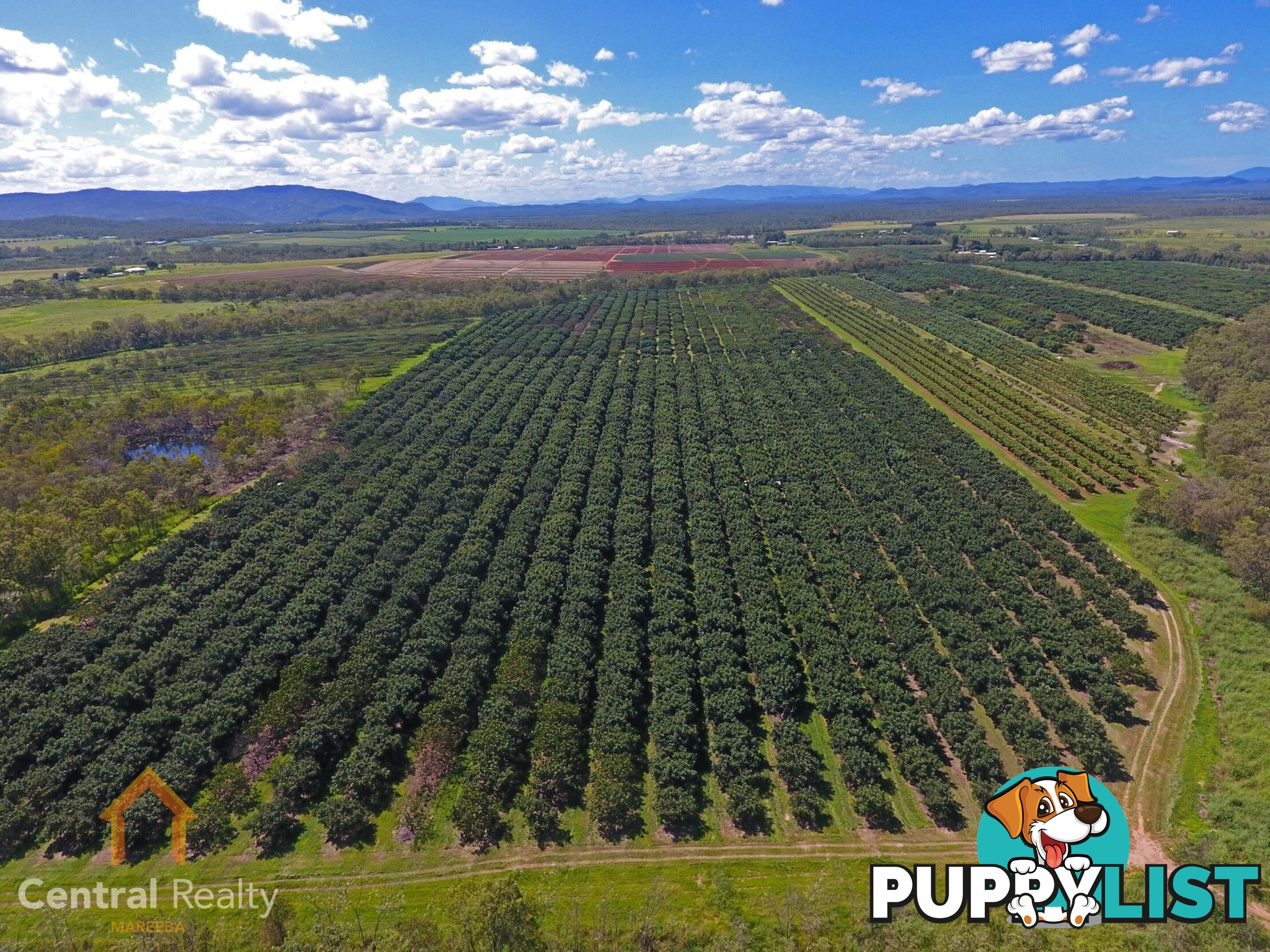 44 Carman Road Mareeba QLD 4880
