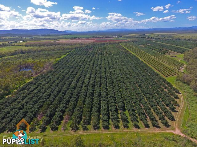44 Carman Road Mareeba QLD 4880
