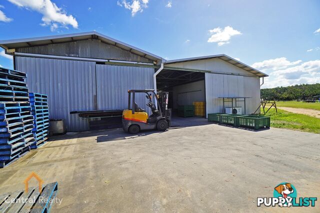 44 Carman Road Mareeba QLD 4880