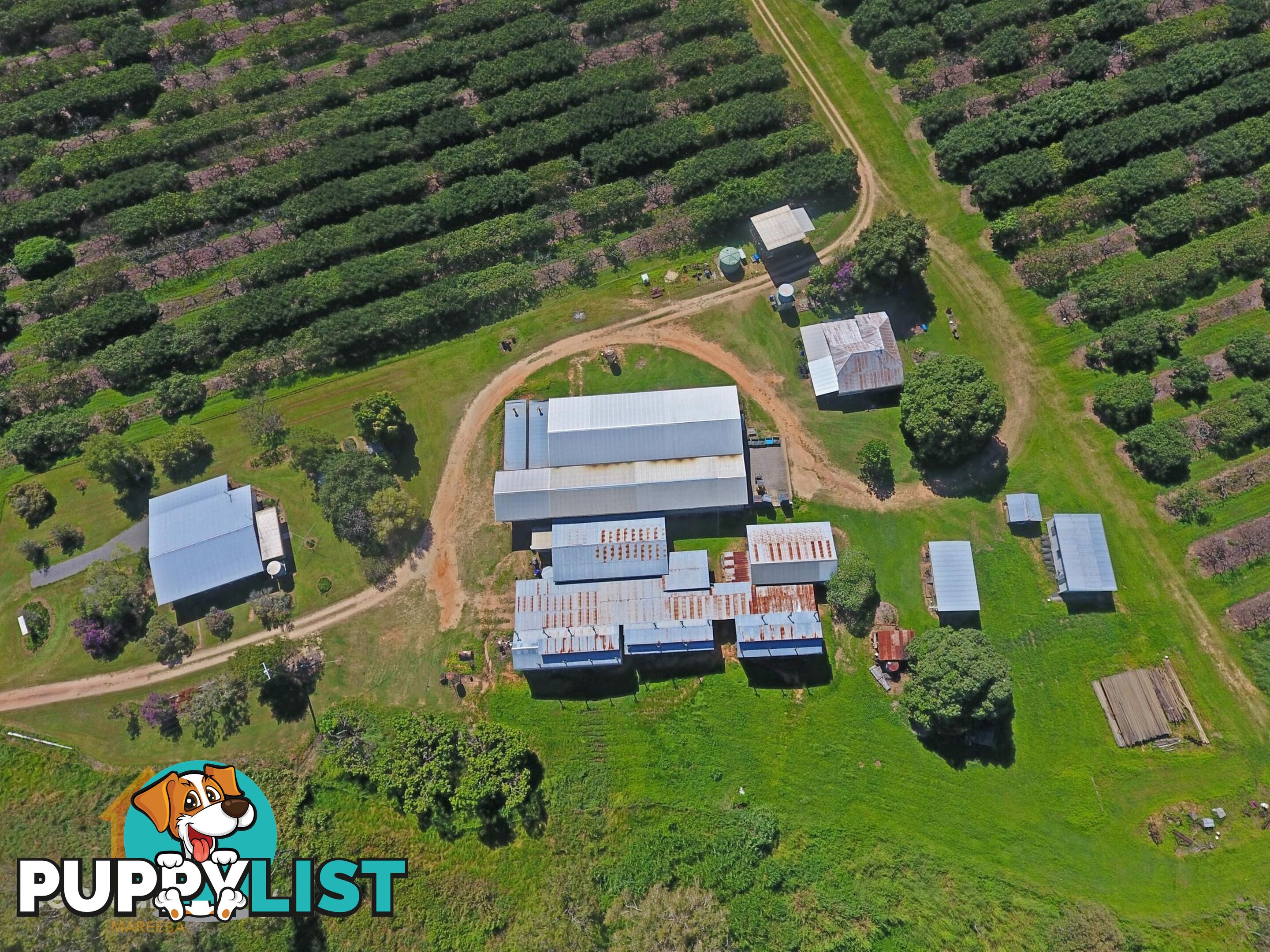 44 Carman Road Mareeba QLD 4880