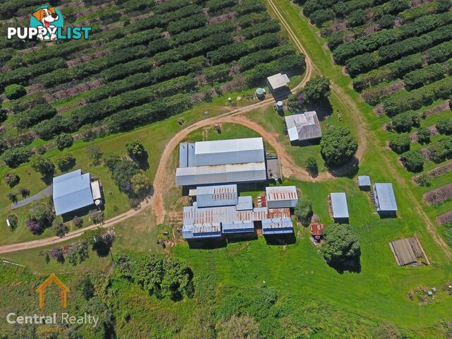44 Carman Road Mareeba QLD 4880