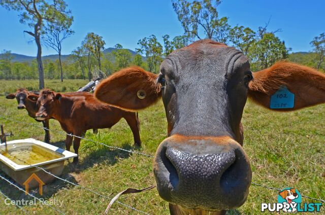 107 Ti Tree Road Atherton QLD 4883