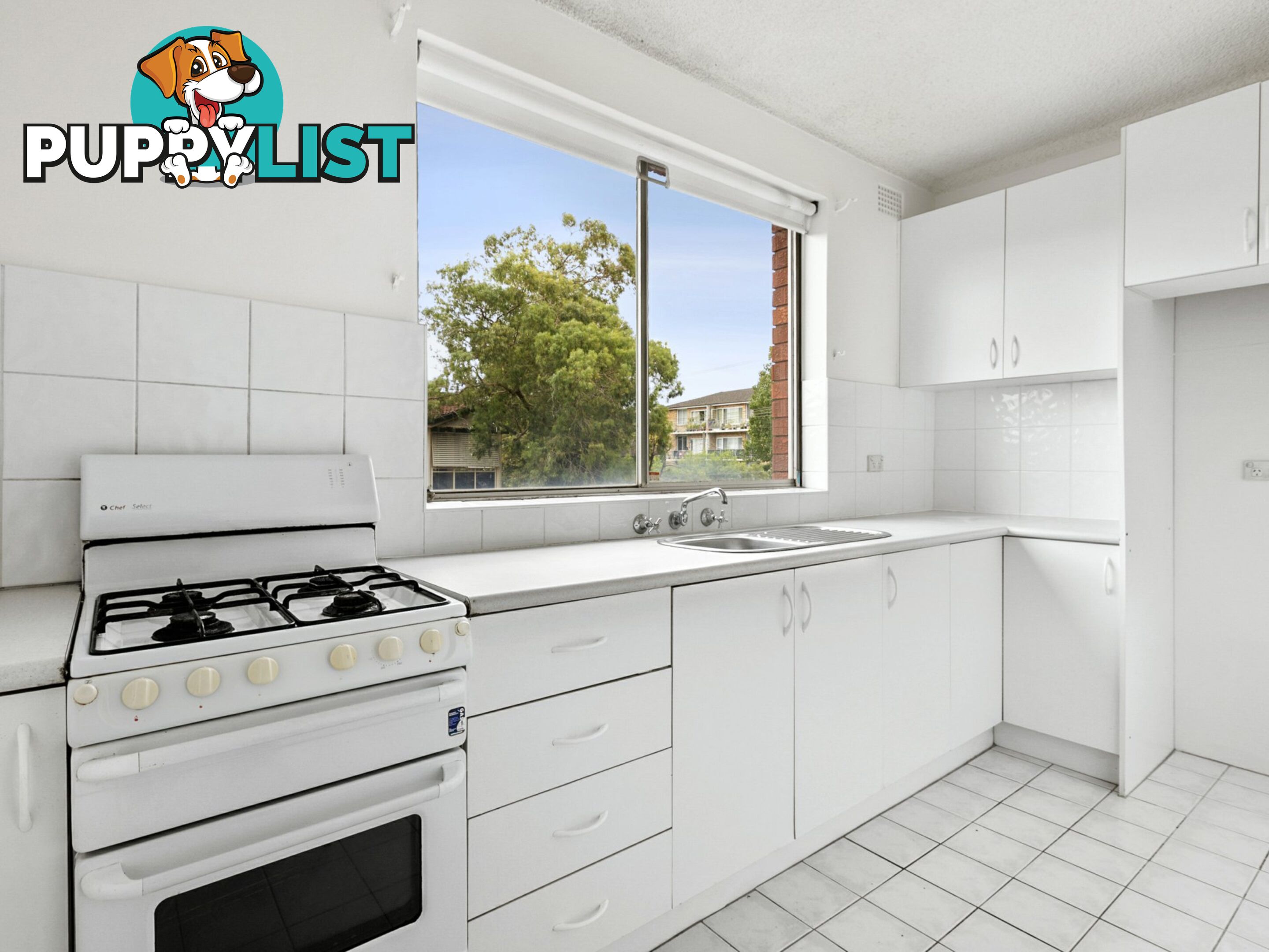 1/11 Francis Street DEE WHY NSW 2099