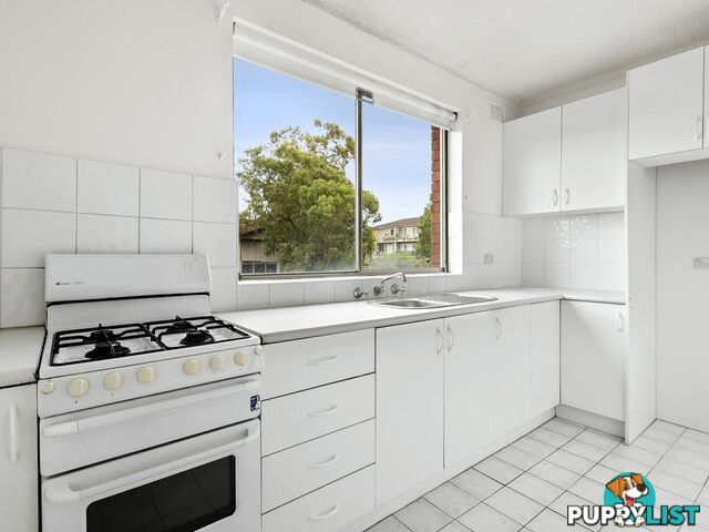 1/11 Francis Street DEE WHY NSW 2099