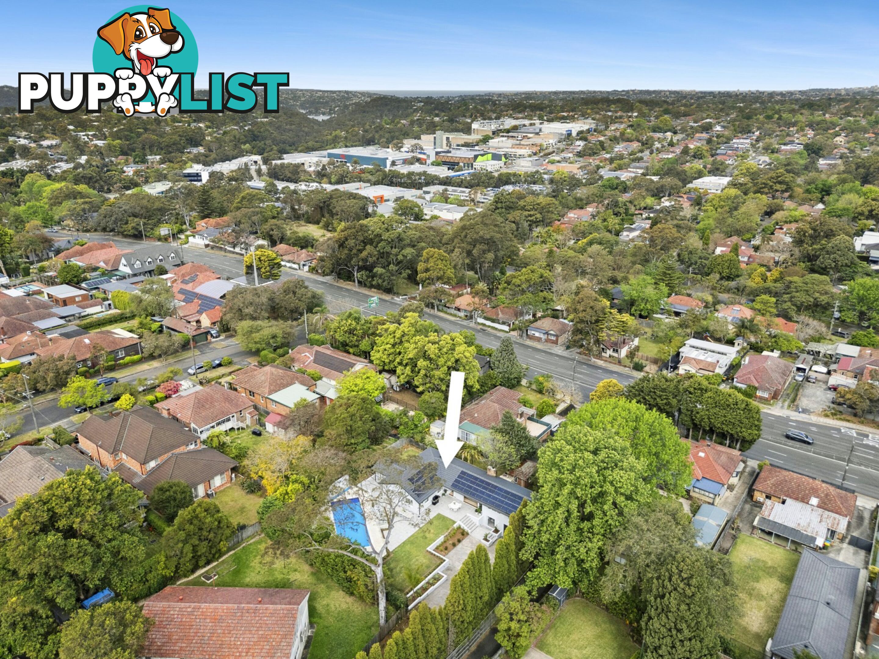 29 Margaret Street ROSEVILLE NSW 2069