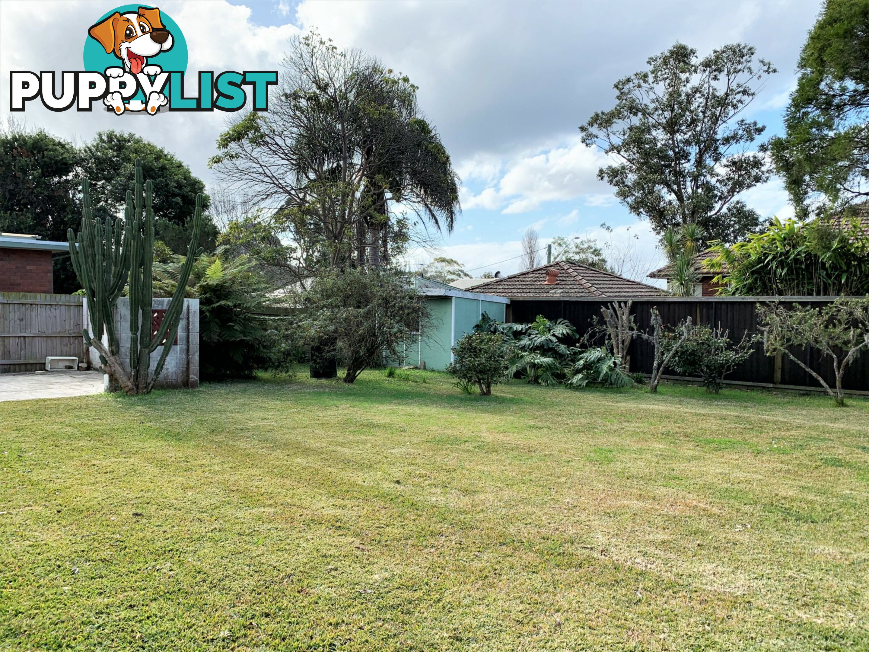 37 Grace Avenue FRENCHS FOREST NSW 2086