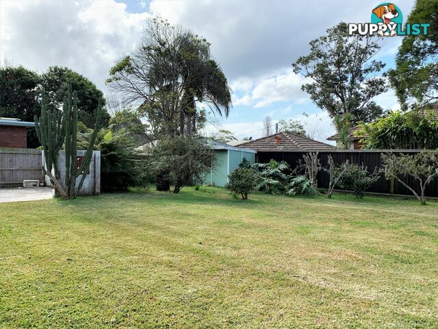 37 Grace Avenue FRENCHS FOREST NSW 2086