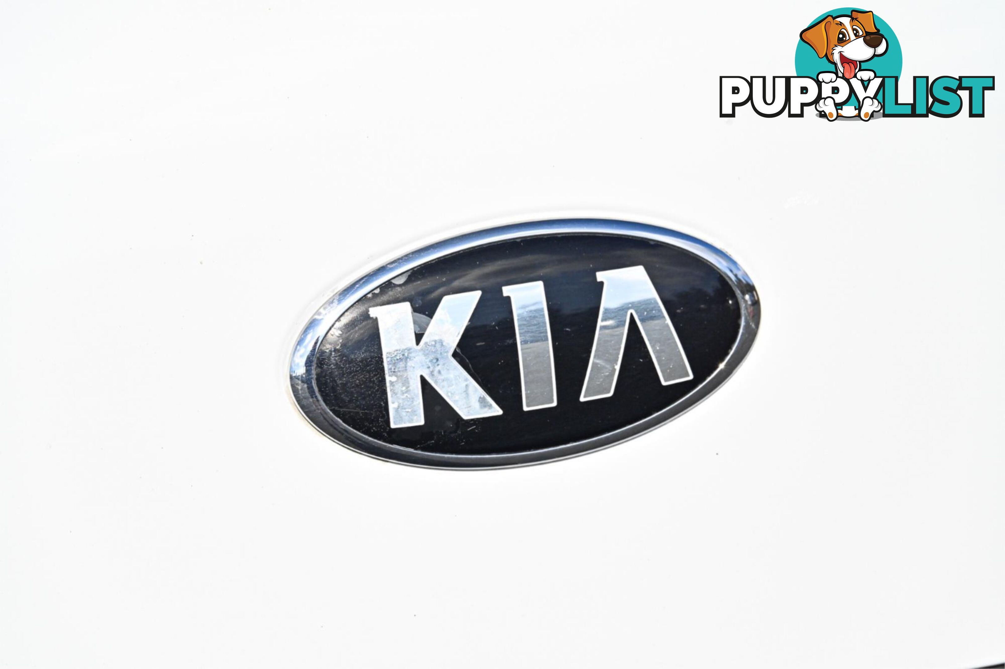 2015 KIA CARNIVAL SI YPMY16 WAGON