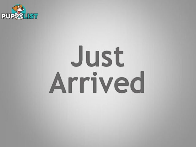 2007 TOYOTA COROLLA ASCENT ZRE152R HATCHBACK