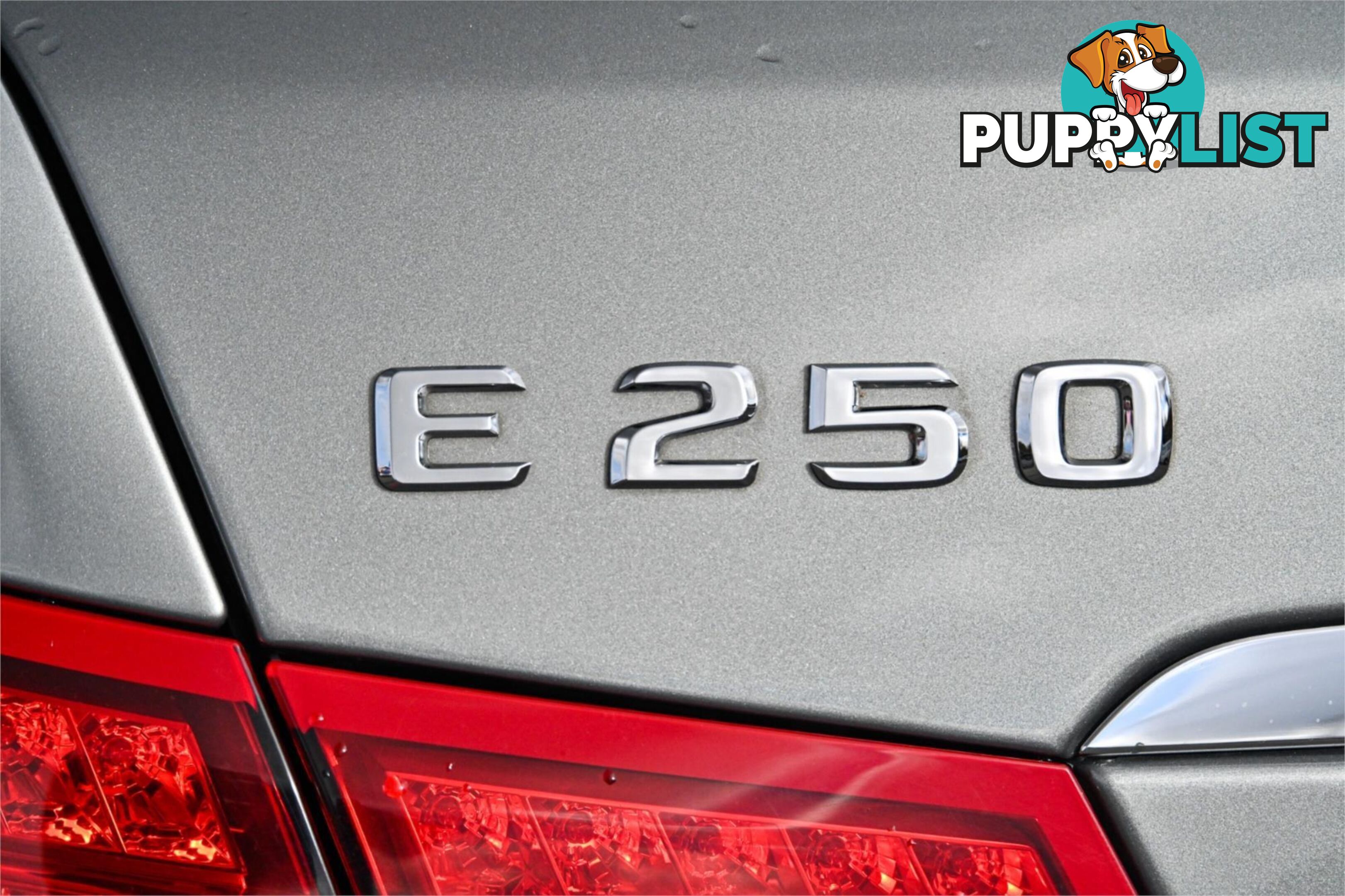 2010 MERCEDES-BENZ E-CLASS E250CGIELEGANCE C207 COUPE