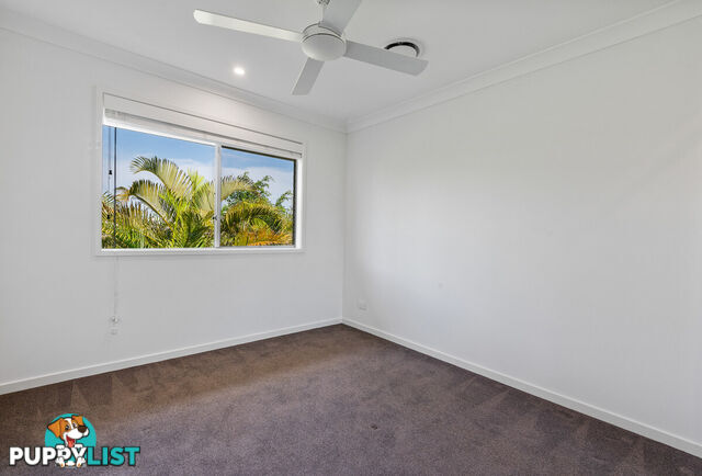 39 Dundonald Street EVERTON PARK QLD 4053