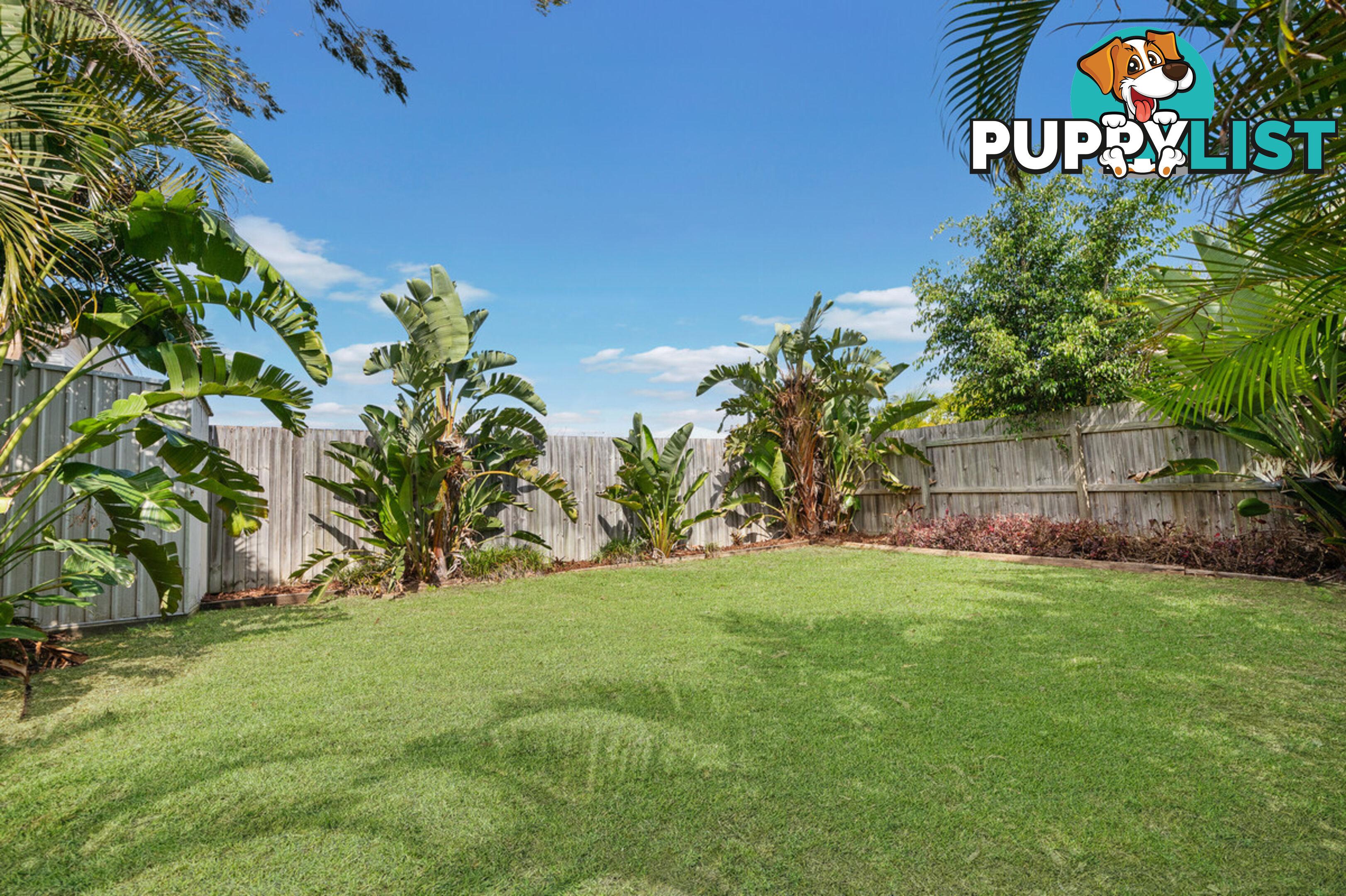 39 Dundonald Street EVERTON PARK QLD 4053