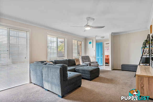 15 Toulouse Avenue PETRIE QLD 4502