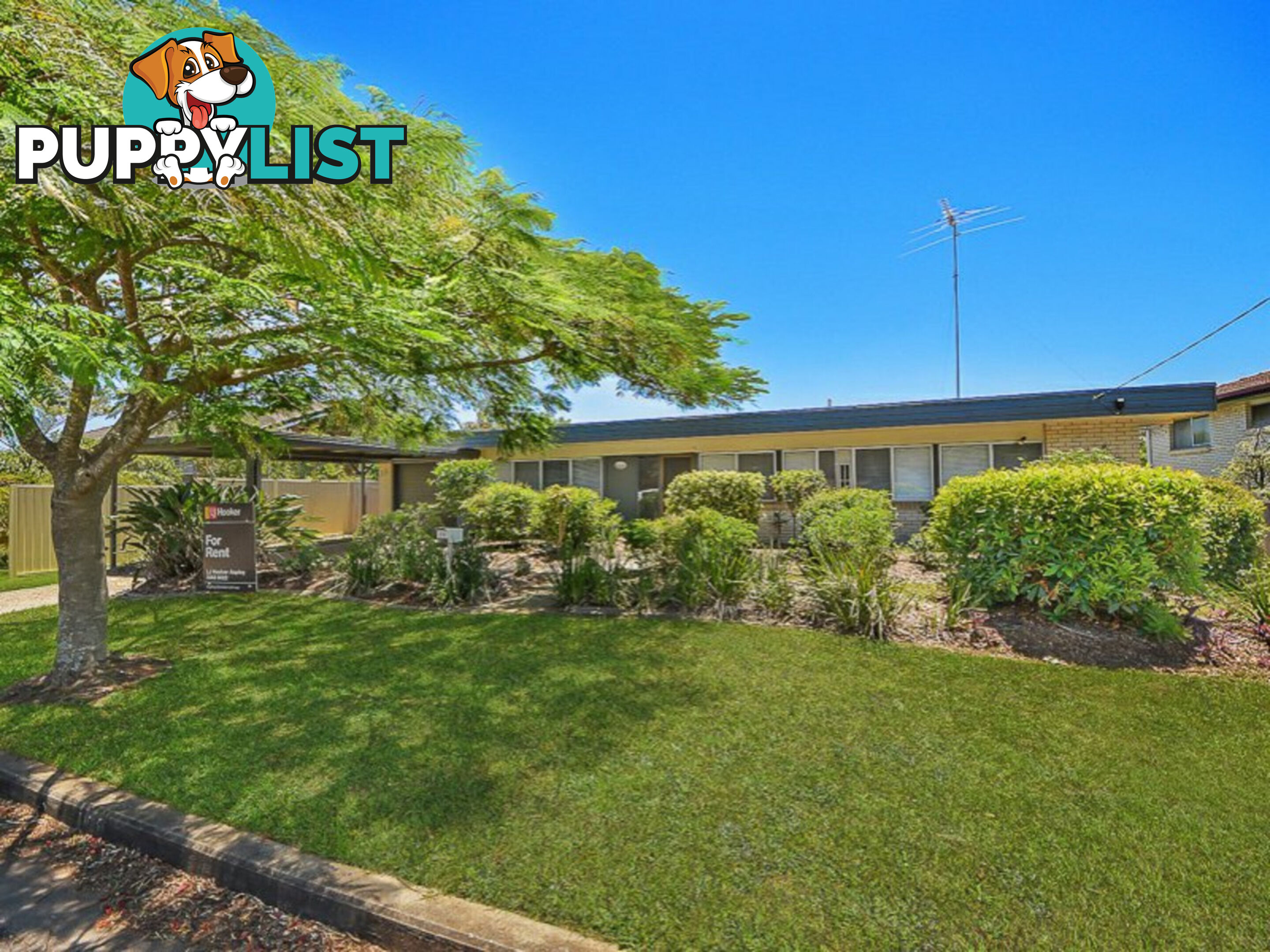 15 Arell Street ASPLEY QLD 4034