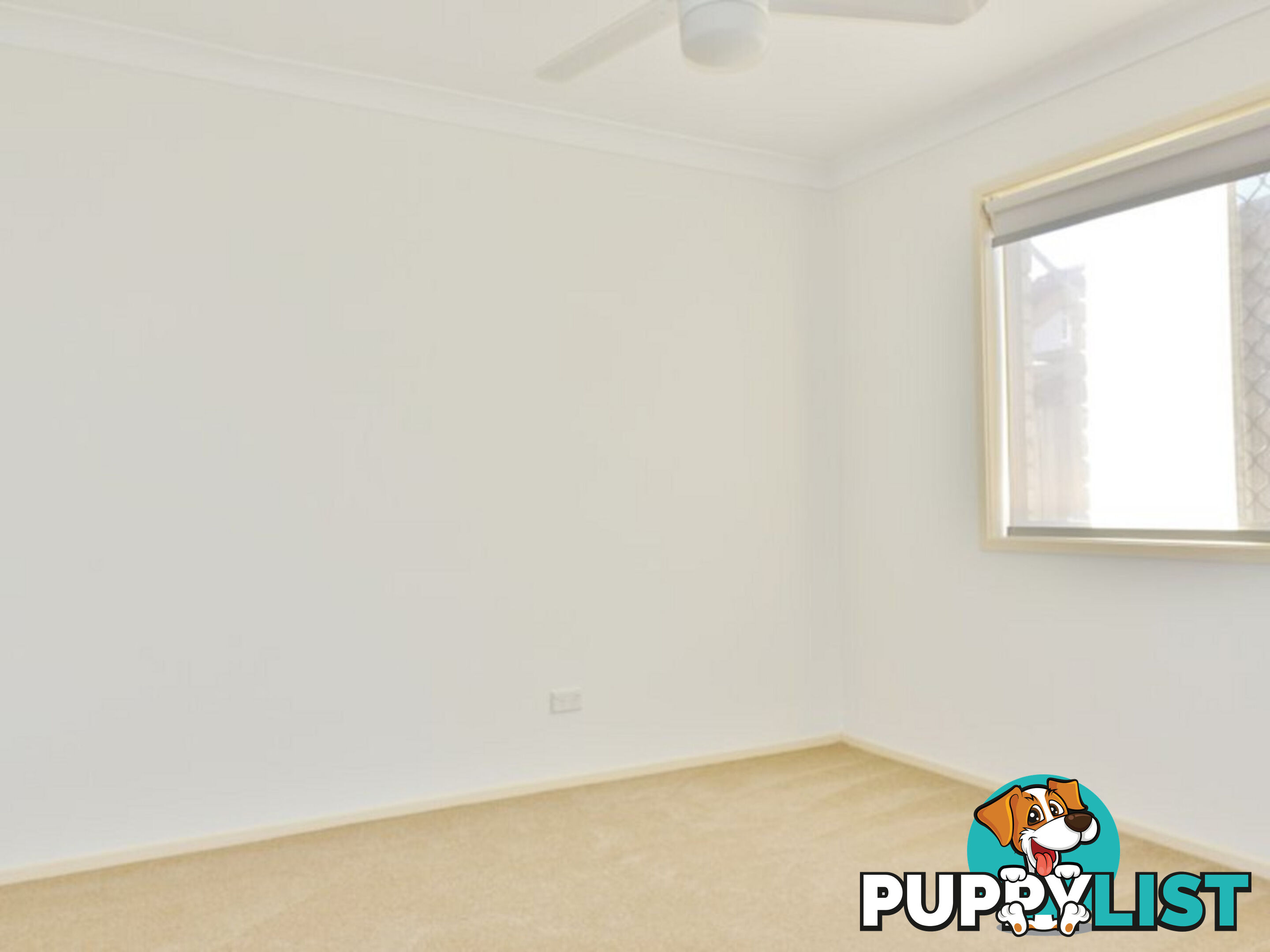 3 Violet Close FITZGIBBON QLD 4018