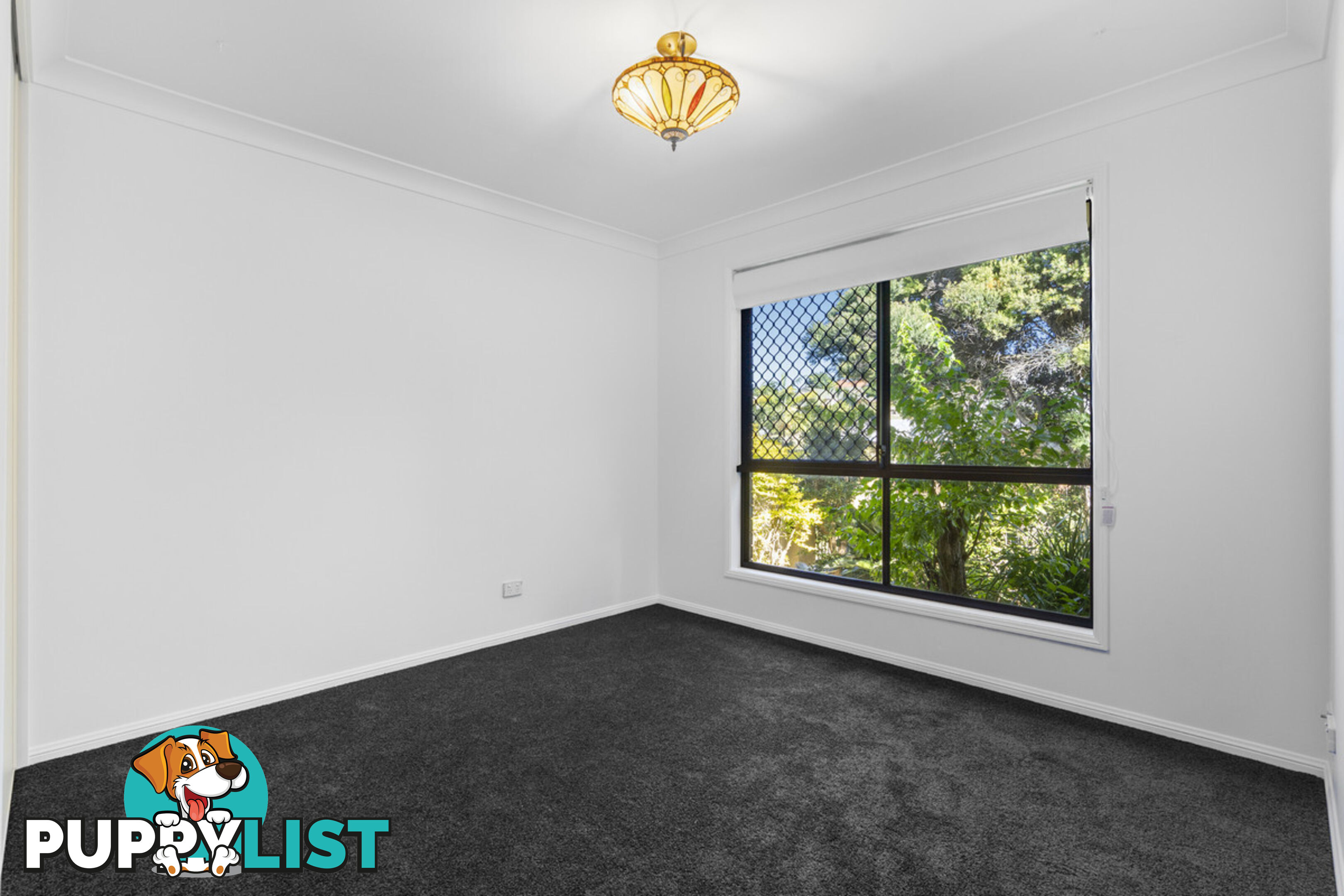 12 Altissimo Court EATONS HILL QLD 4037