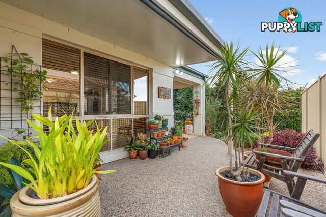 13 Pimlico Lane ASPLEY QLD 4034