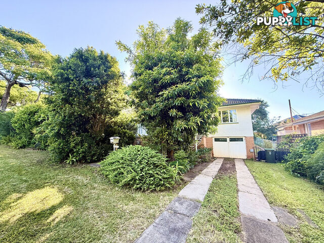 31 Goodchap Street ASPLEY QLD 4034