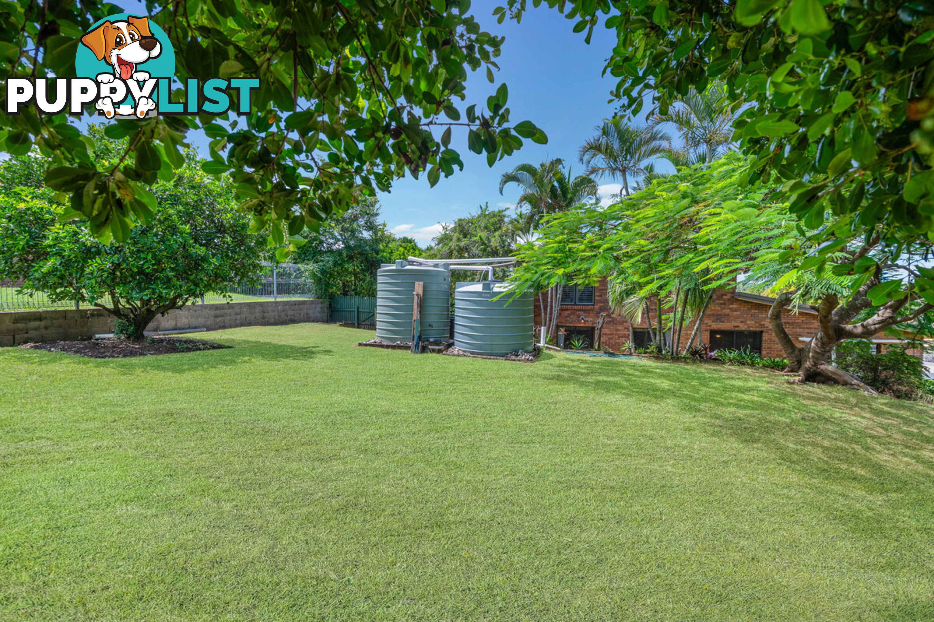 12 Kalara Court CARSELDINE QLD 4034