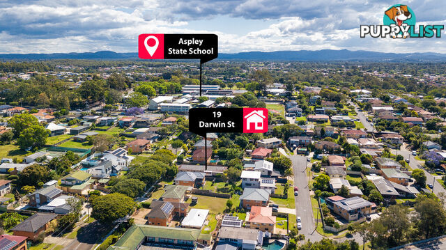 19 Darwin Street ASPLEY QLD 4034