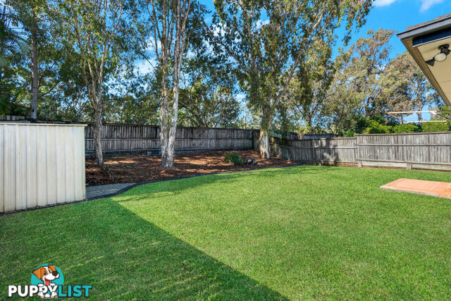 59 Wimbledon Circuit CARSELDINE QLD 4034