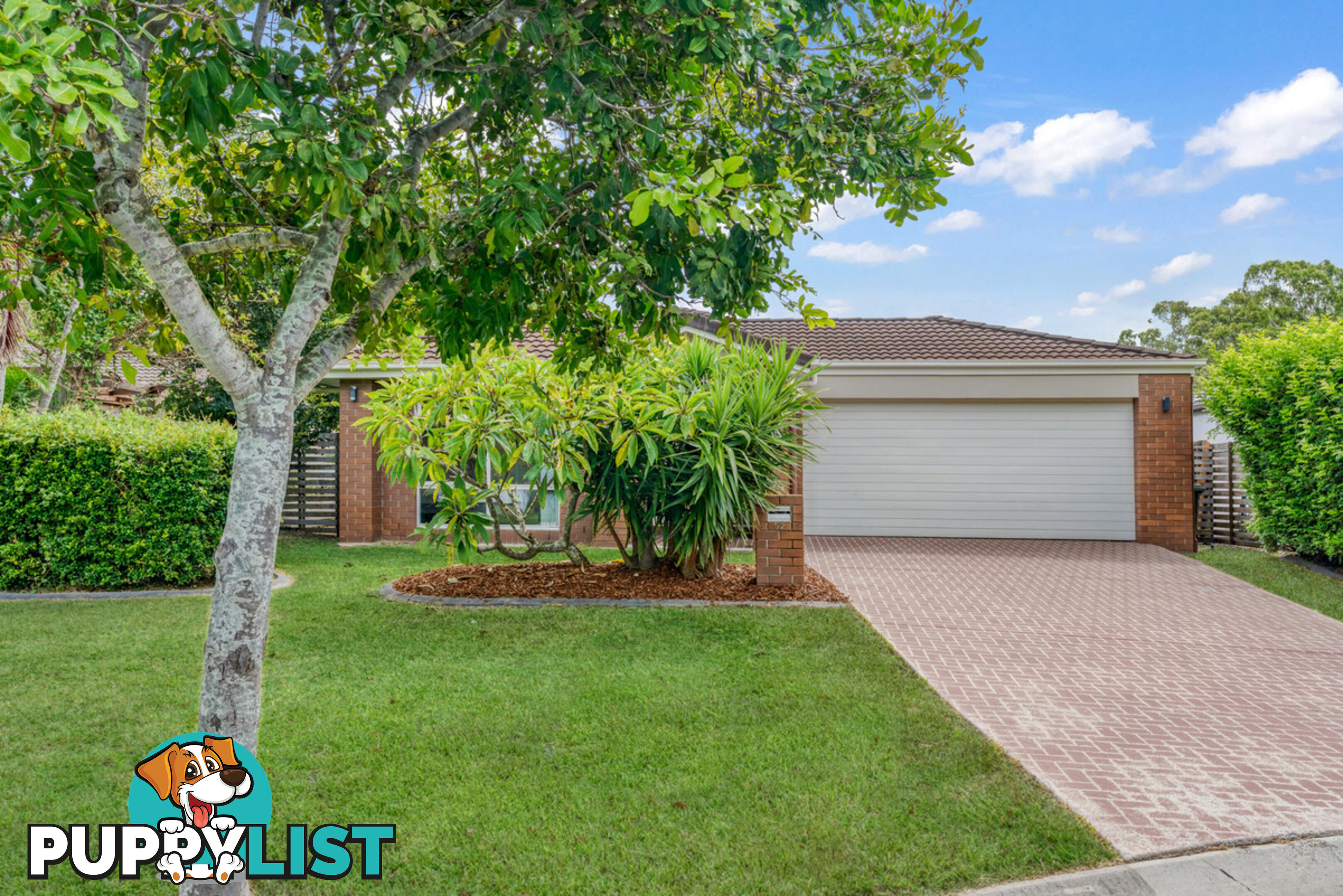 52 Waterlily Circuit CARSELDINE QLD 4034