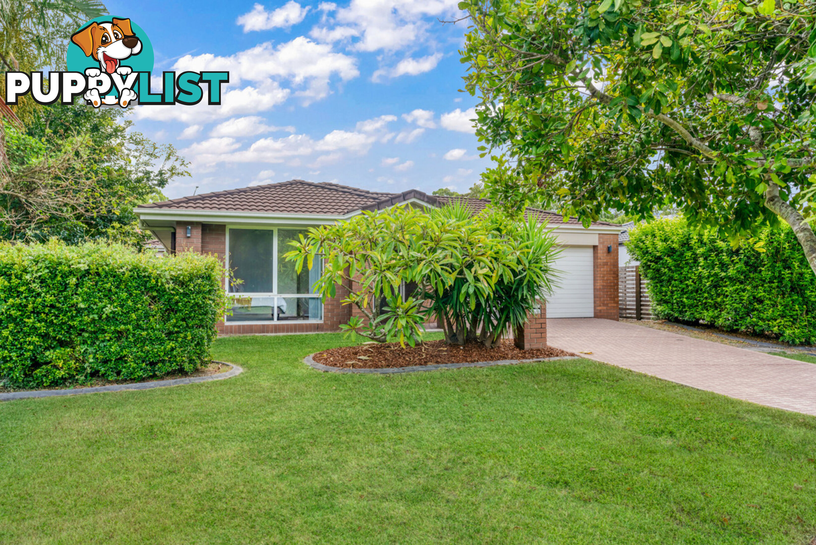 52 Waterlily Circuit CARSELDINE QLD 4034