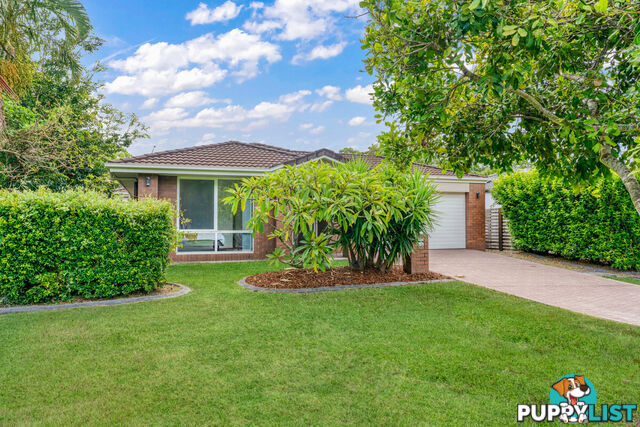 52 Waterlily Circuit CARSELDINE QLD 4034