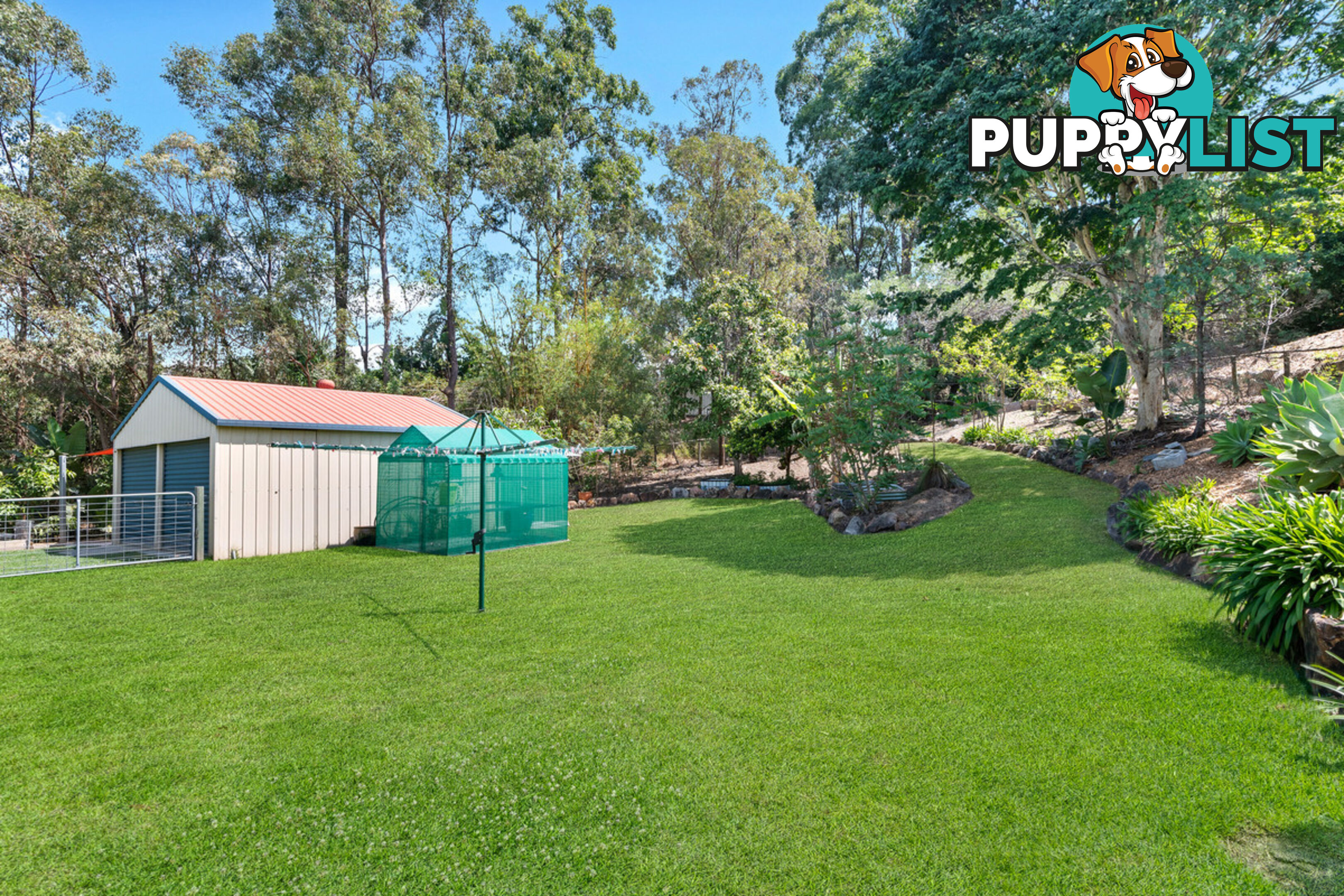 6 Plum Pine Court EATONS HILL QLD 4037