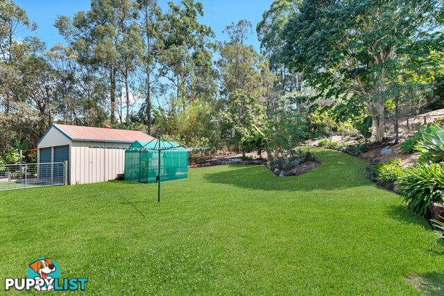 6 Plum Pine Court EATONS HILL QLD 4037