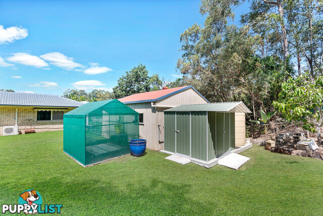 6 Plum Pine Court EATONS HILL QLD 4037